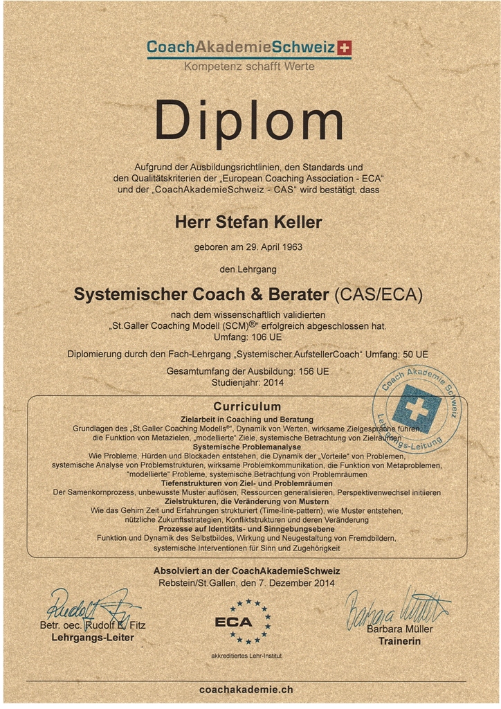 Diplom Systemischer Coach