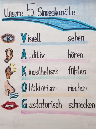 NLP VAKOG 330